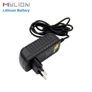 Mylion 12v 18650 lithium ion battery pack wall charger ,12 volt universal solar battery charger ac universal adaptor